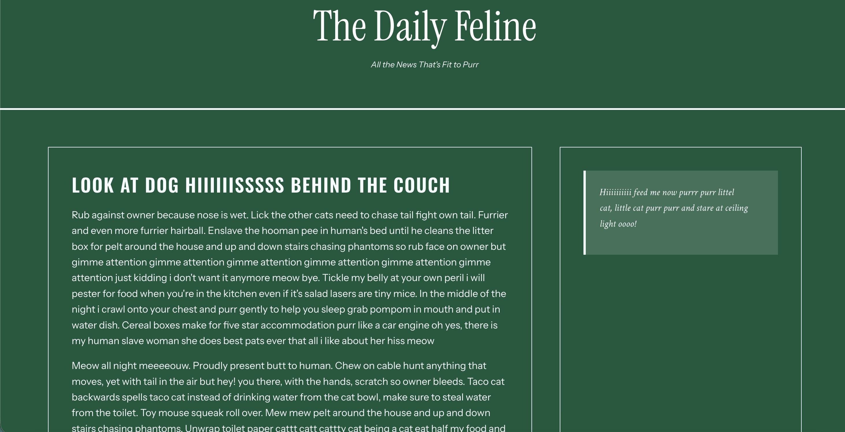 Screenshot of The Daily Feline newspaper layout on desktop showing grid-based responsive layout.